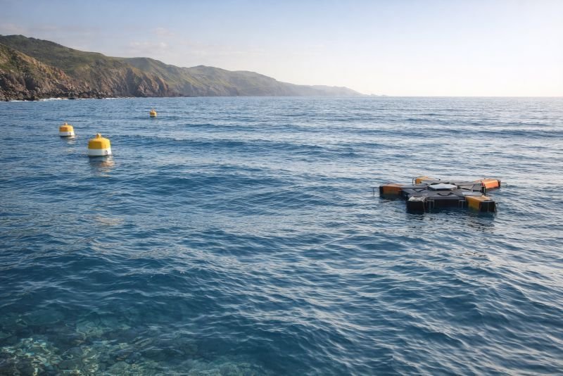 Offshore ocean swells moving toward a rugged coastline with wave measurement buoys and a floating wave energy device, illustrating energy flux in ocean waves.