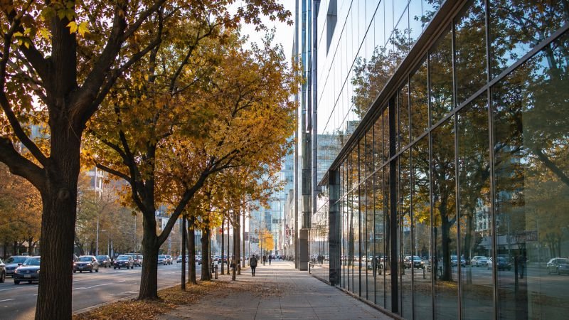 City street with mature urban trees beside a modern glass facade, showing the contrast between natural air cleaning and building-scale pollution treatment surfaces