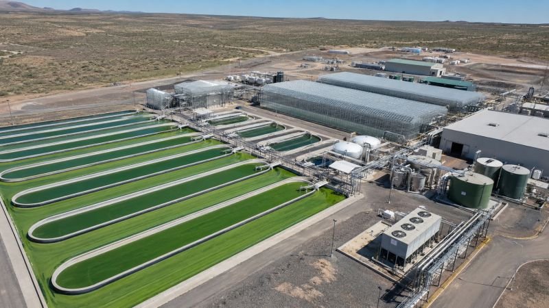 Integrated algae bioproduction facility with parallel raceway ponds, greenhouse photobioreactor structures, and processing buildings in a semi-arid landscape