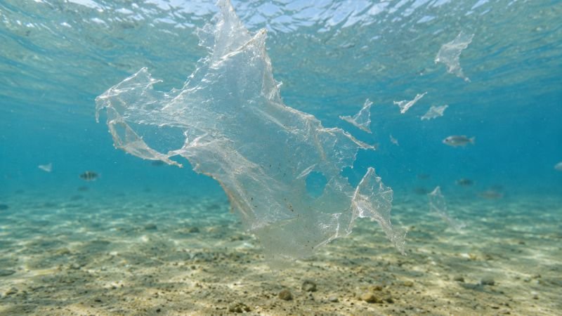 Translucent bioplastic film fragmenting underwater in shallow coastal seawater, showing marine biodegradation of algae-derived PHA material