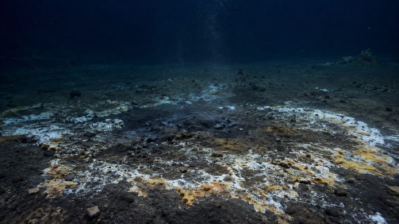 Natural hydrocarbon seep on the ocean floor with oil-stained sediment and white and orange bacterial mat patches in deep water