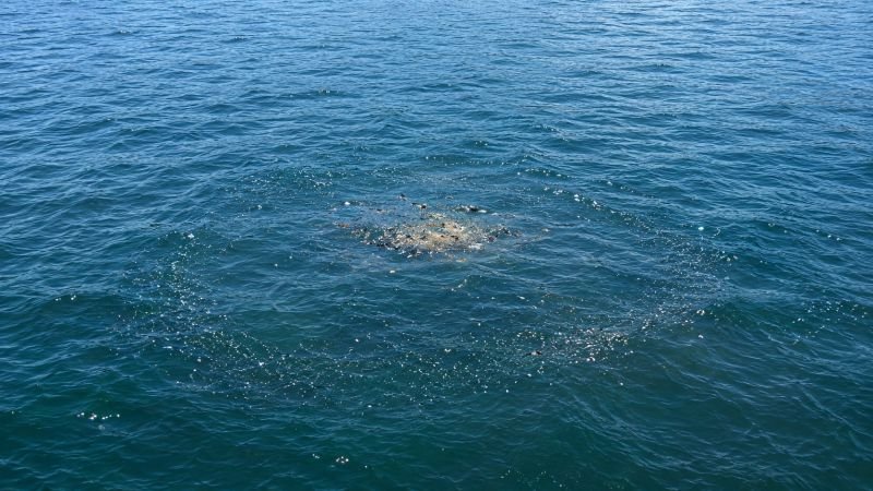 Open-water contamination zone with a subtle converging pattern of micro-scale robotic units showing stigmergy in distributed control systems